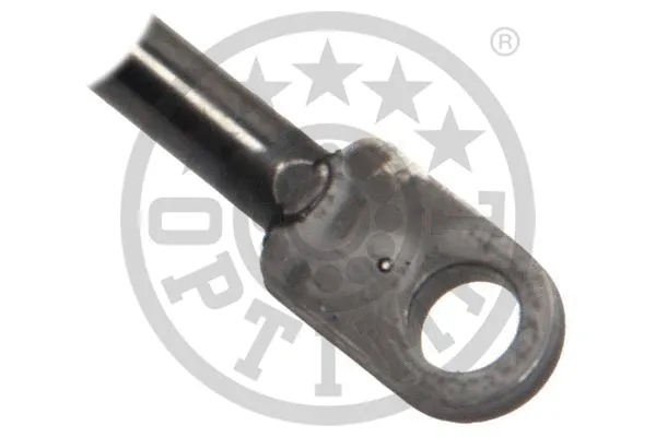 Gas Spring, boot/cargo area