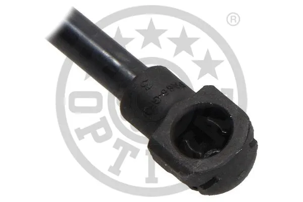 Gas Spring, boot/cargo area