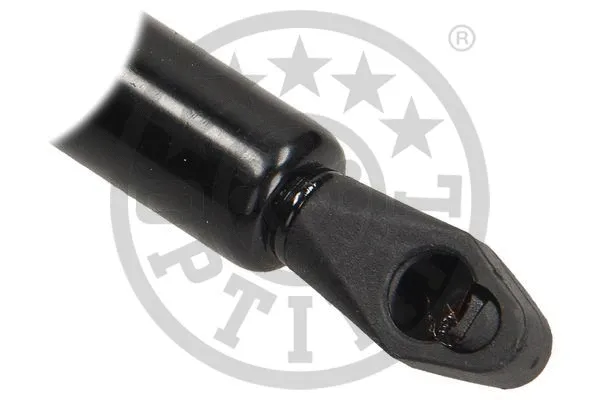 Gas Spring, boot/cargo area