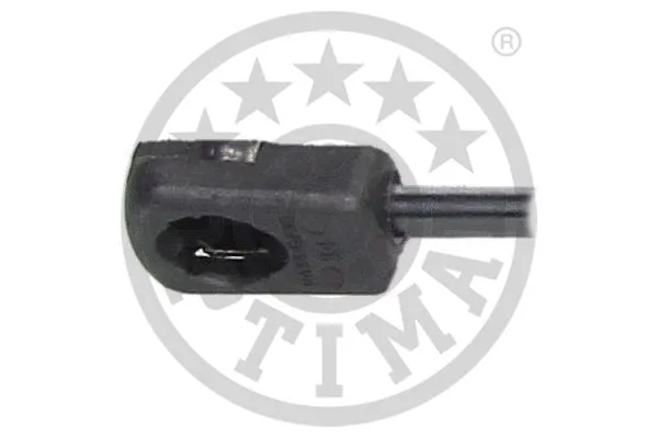 Gas Spring, boot/cargo area