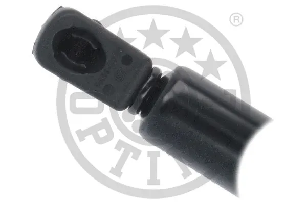 Gas Spring, boot/cargo area