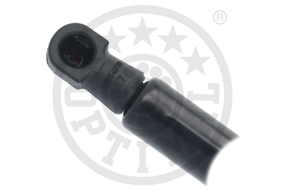 Gas Spring, boot/cargo area