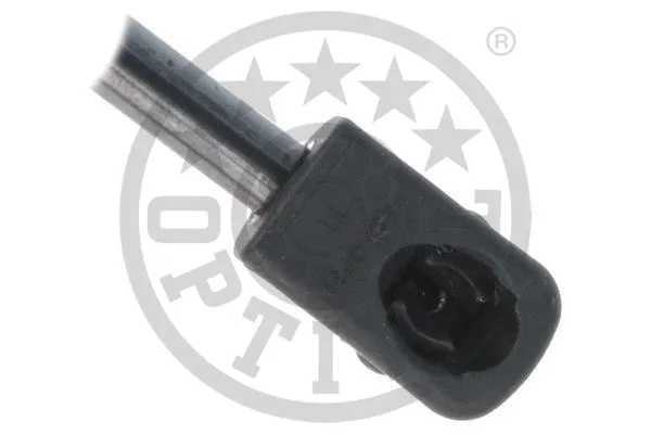 Gas Spring, boot/cargo area