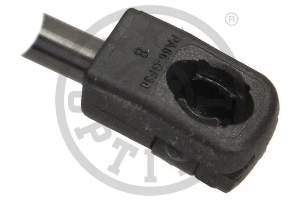 Gas Spring, boot/cargo area