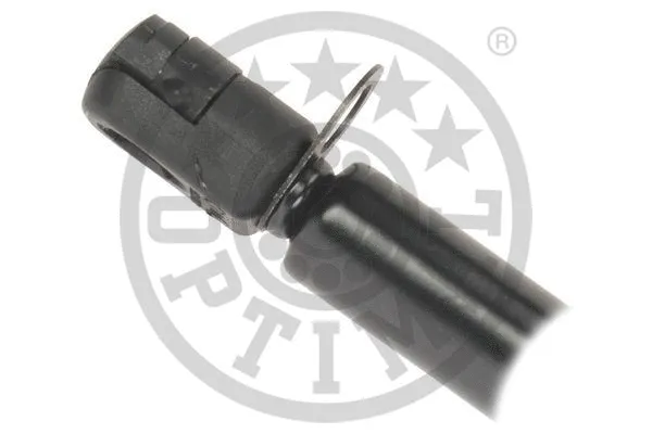 Gas Spring, boot/cargo area