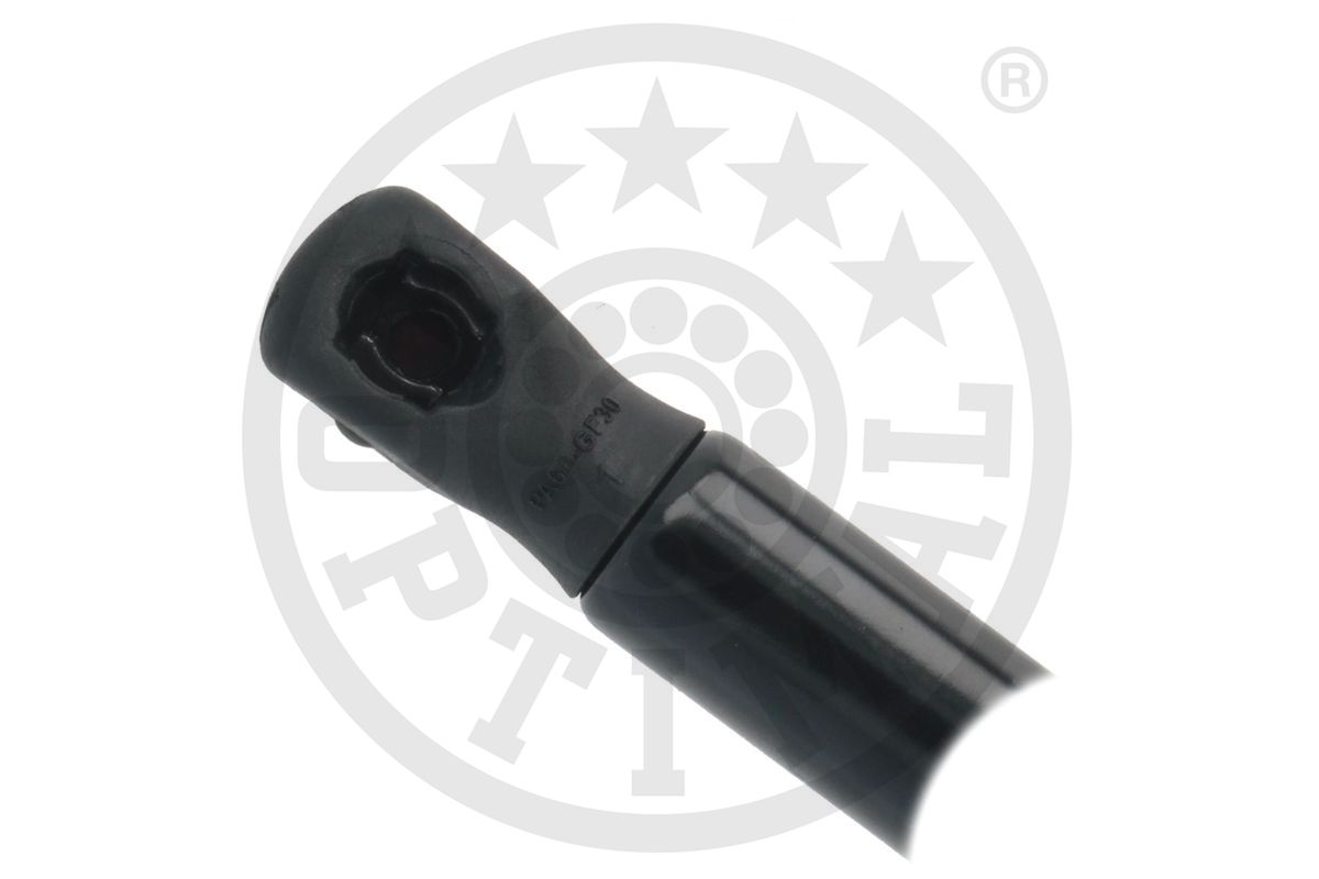 Gas Spring, boot/cargo area