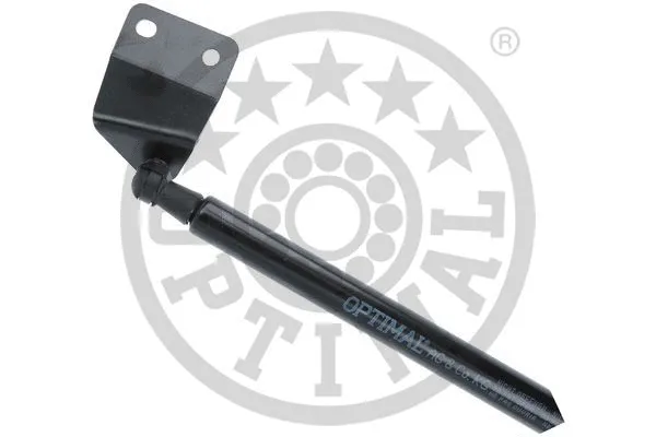 Gas Spring, boot/cargo area