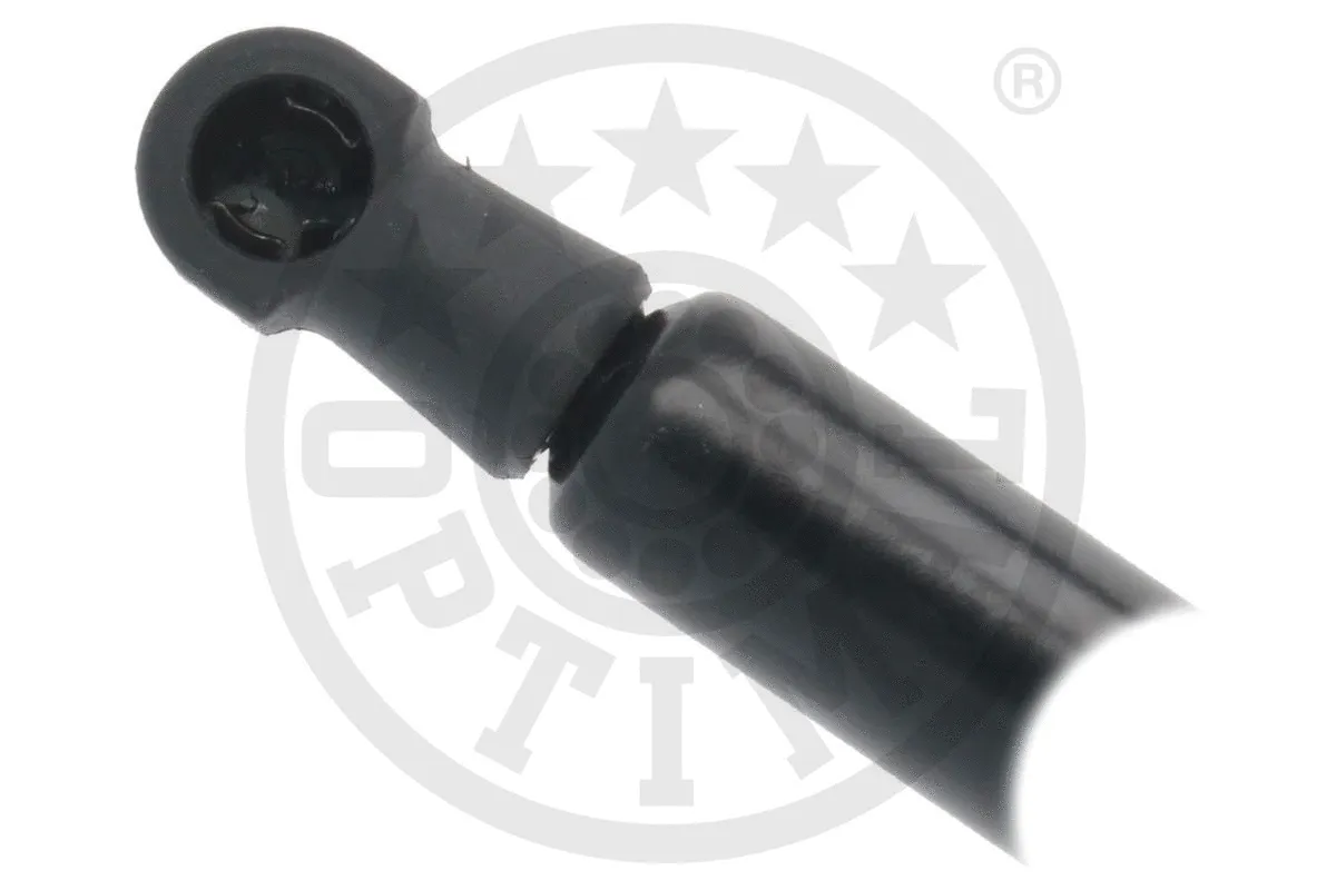 Gas Spring, boot/cargo area