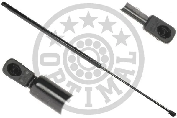 Gas Spring, boot/cargo area (AG-51436)