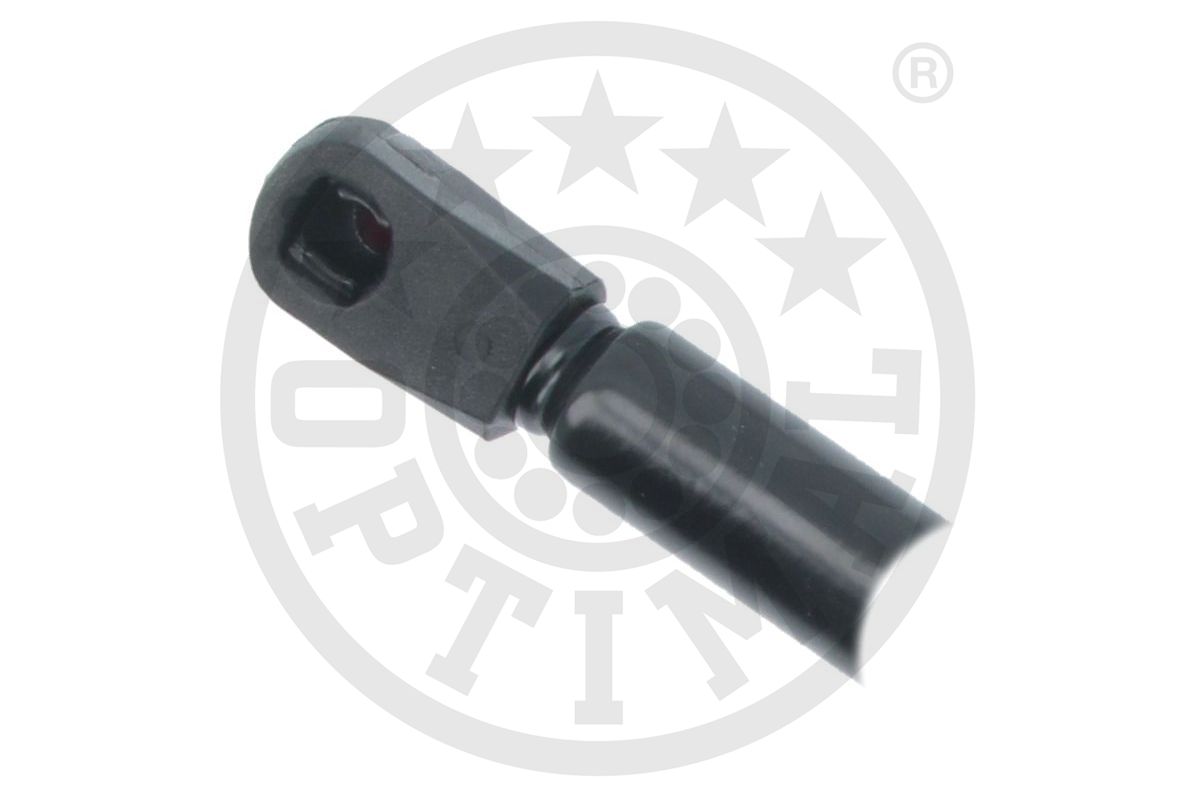 Gas Spring, boot/cargo area