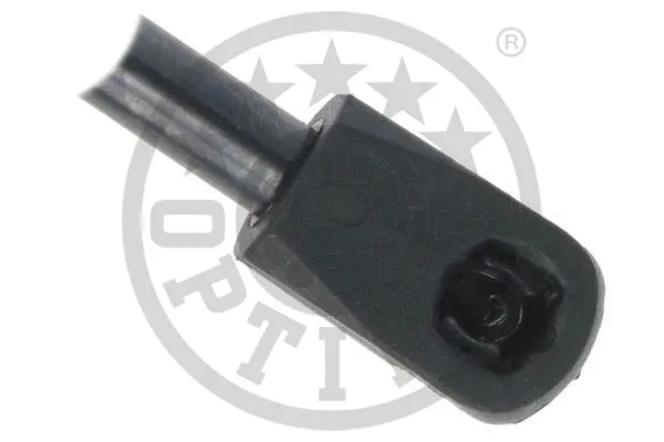 Gas Spring, boot/cargo area