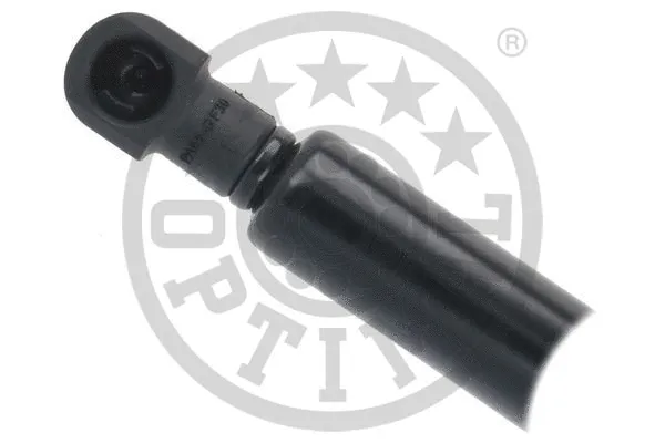 Gas Spring, boot/cargo area