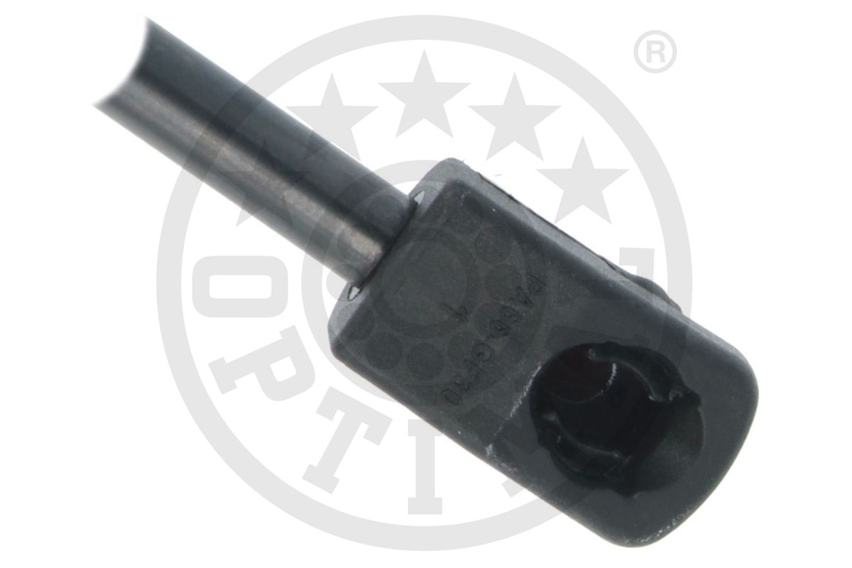 Gas Spring, boot/cargo area