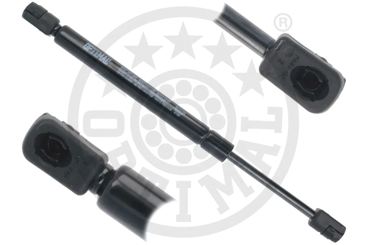 Gas Spring, boot/cargo area (AG-51793)