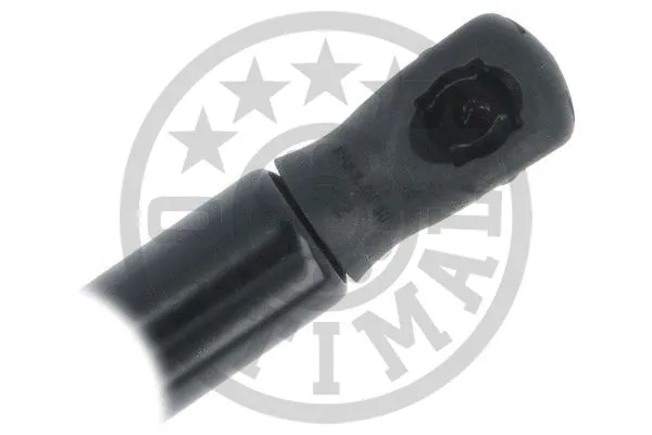 Gas Spring, boot/cargo area