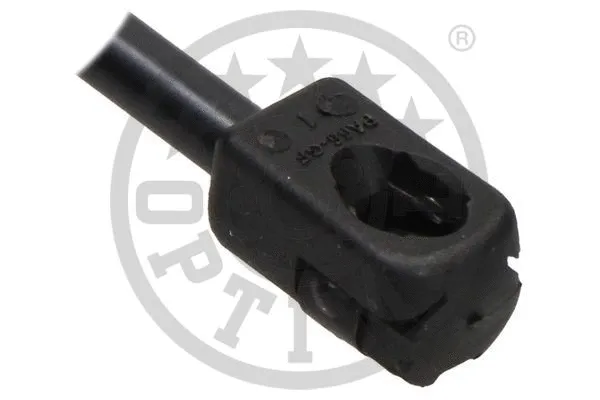 Gas Spring, boot/cargo area