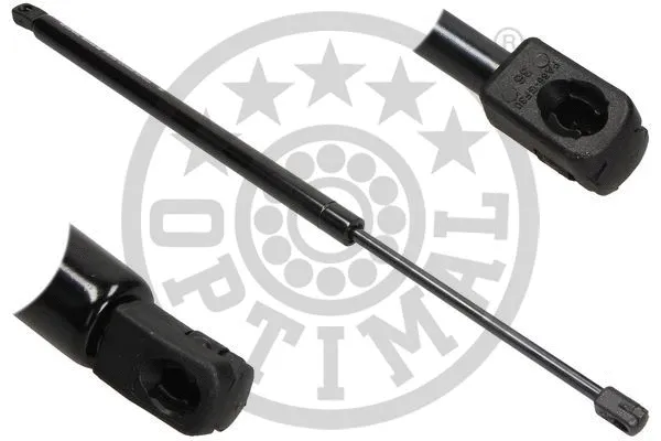 Gas Spring, boot/cargo area (AG-40689)