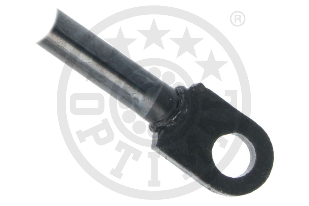 Gas Spring, boot/cargo area