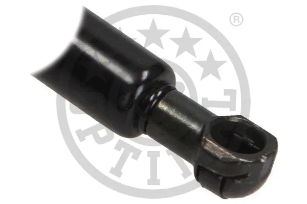 Gas Spring, boot/cargo area