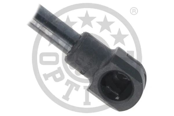 Gas Spring, boot/cargo area