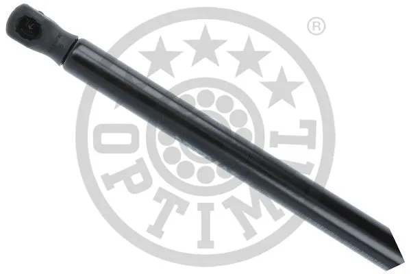 Gas Spring, boot/cargo area