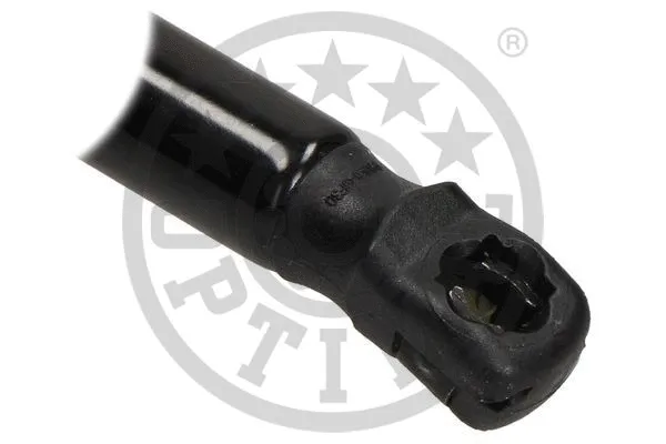 Gas Spring, boot/cargo area