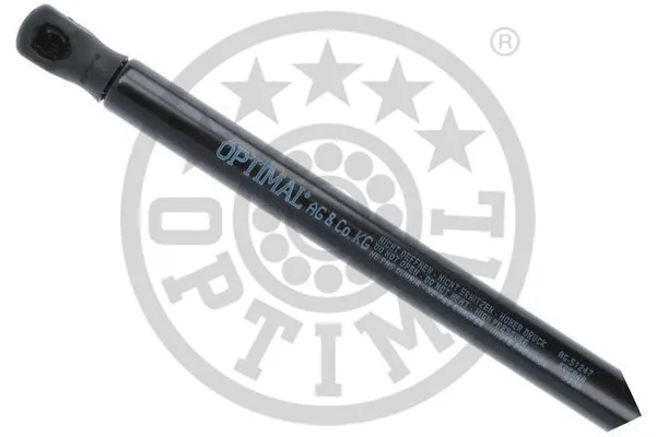 Gas Spring, boot/cargo area