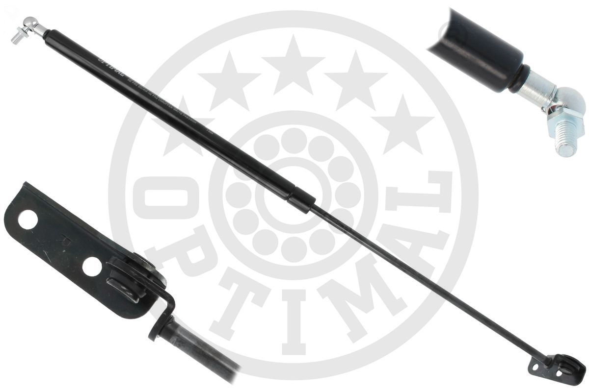 Gas Spring, boot/cargo area (AG-52273)