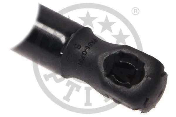 Gas Spring, boot/cargo area