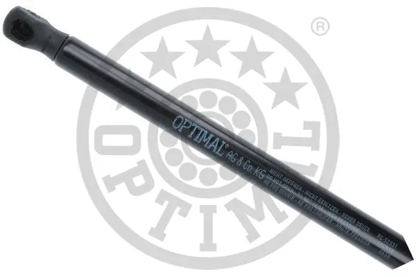 Gas Spring, boot/cargo area