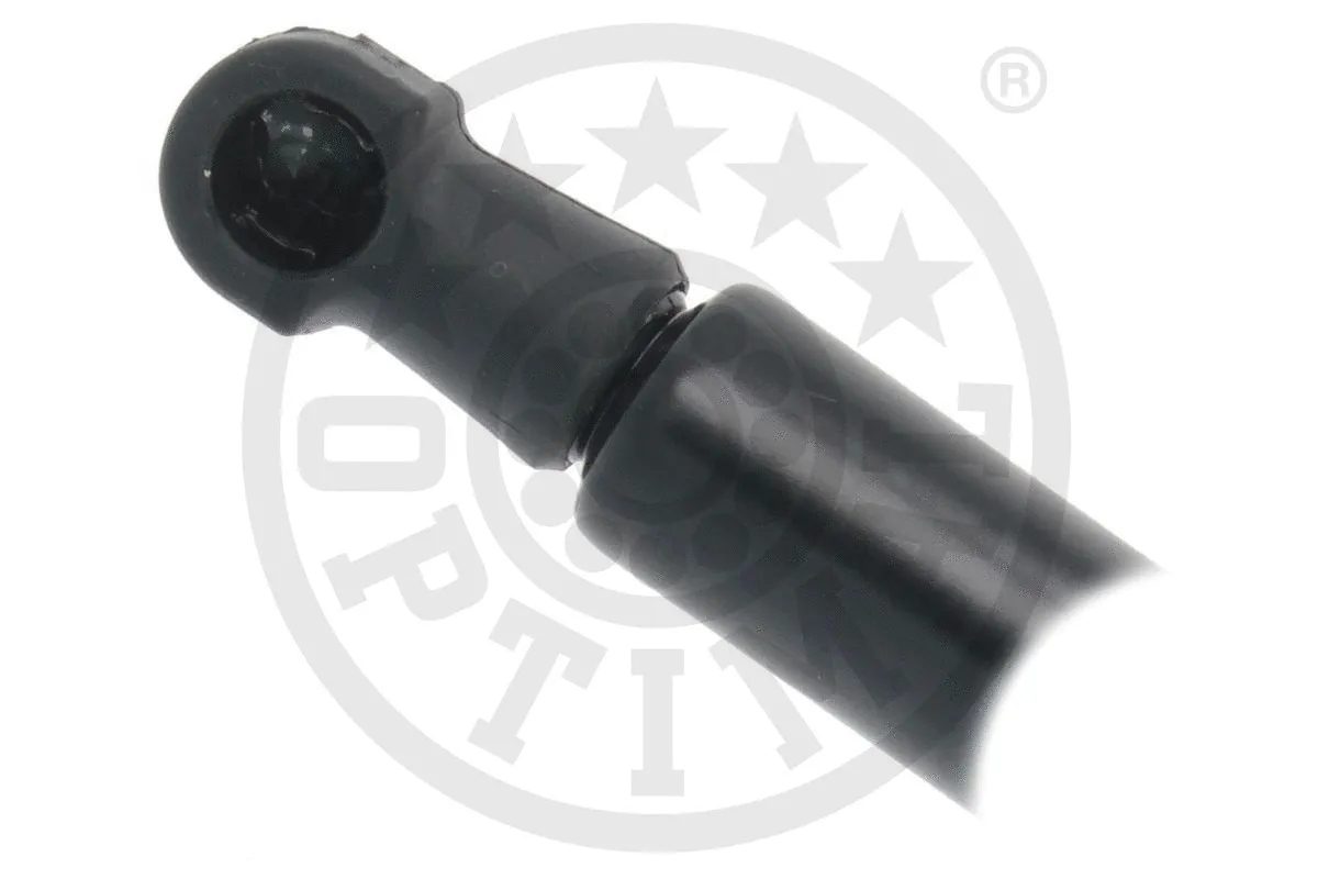 Gas Spring, boot/cargo area