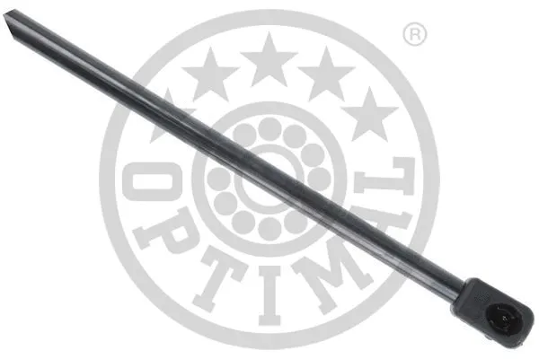 Gas Spring, boot/cargo area