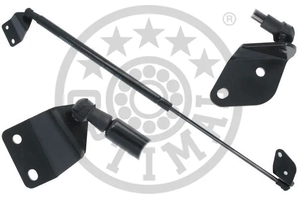 Gas Spring, boot/cargo area (AG-50185)