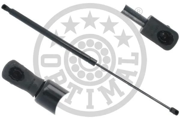 Gas Spring, boot/cargo area (AG-50861)