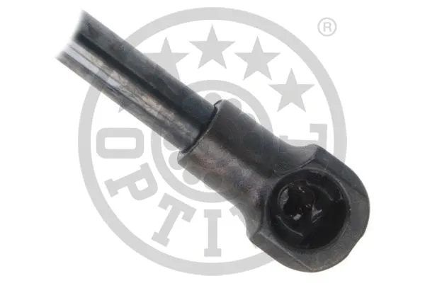 Gas Spring, boot/cargo area