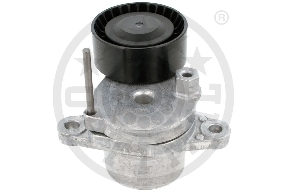 Tensioner Lever, V-ribbed belt (0-N2573)