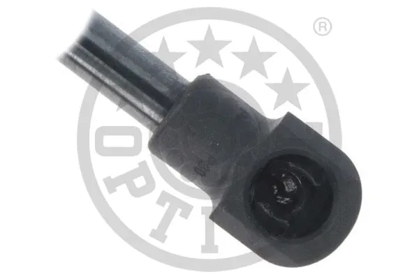 Gas Spring, boot/cargo area