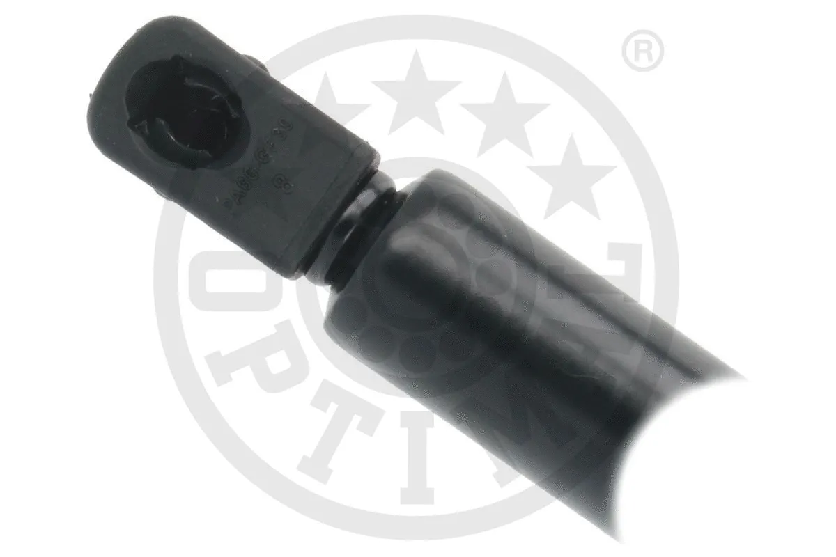 Gas Spring, boot/cargo area