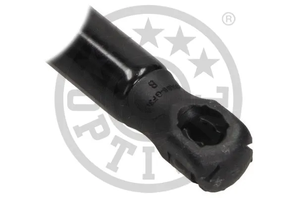 Gas Spring, boot/cargo area