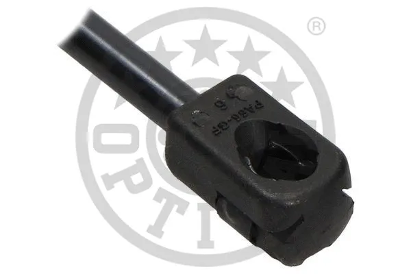 Gas Spring, boot/cargo area