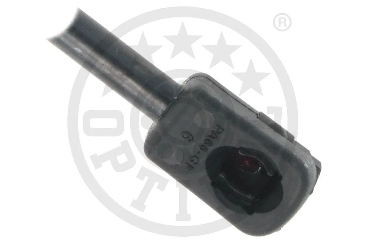 Gas Spring, boot/cargo area