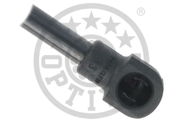 Gas Spring, boot/cargo area