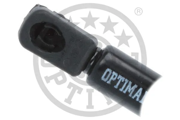 Gas Spring, boot/cargo area