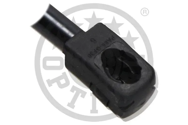Gas Spring, boot/cargo area