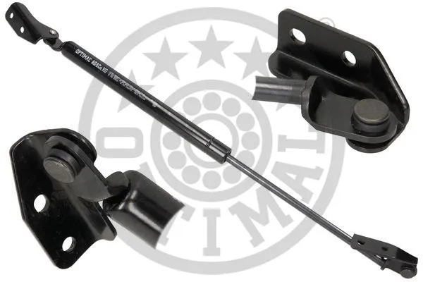 Gas Spring, boot/cargo area (AG-40366)