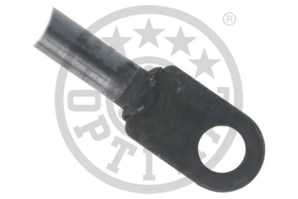 Gas Spring, boot/cargo area