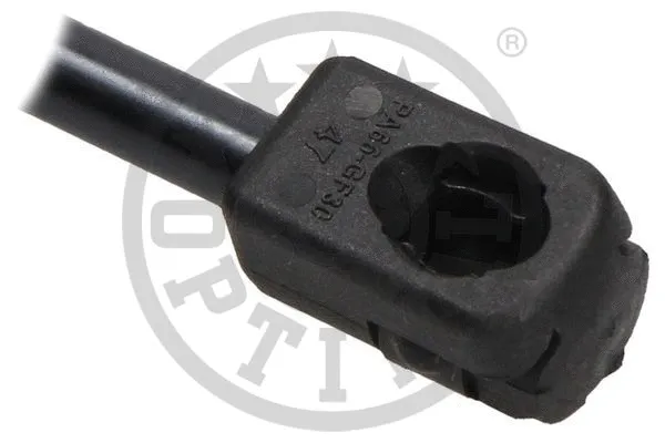 Gas Spring, boot/cargo area