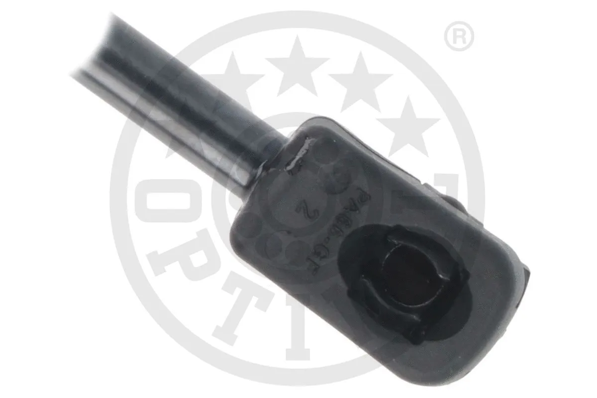 Gas Spring, boot/cargo area