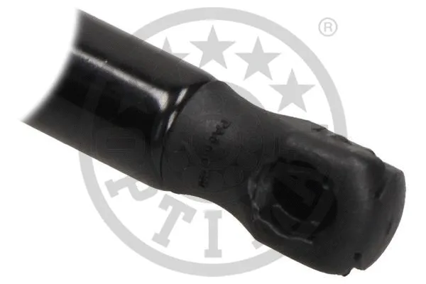 Gas Spring, boot/cargo area