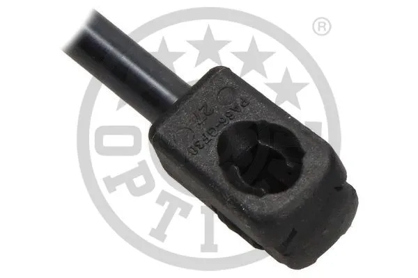 Gas Spring, boot/cargo area